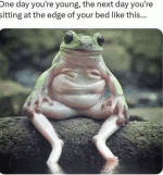 funny-meme.gif