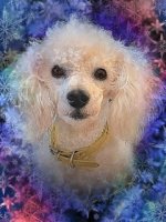 IMG_0712.jpeg