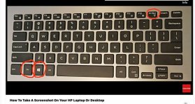 IMG_0336.jpeg
