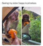 IMG_6696.jpeg