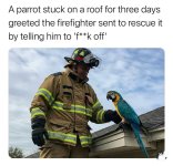 IMG_6805.jpeg