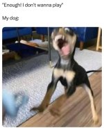 IMG_6913.jpeg