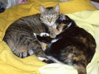 backup and peanut.jpg