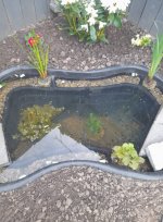 494427765_24235437459392973_7067785577218594548_n.jpg 494427765_24235437459392973_7067785577218594548_n.jpg