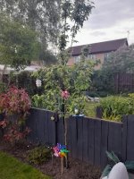 494263994_24235439576059428_3528720088357444102_n.jpg 494263994_24235439576059428_3528720088357444102_n.jpg