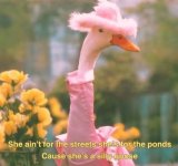 IMG_0195.jpeg