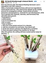 IMG_0476.jpeg IMG_0476.jpeg