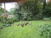 IMG_0149.jpeg