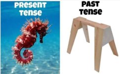thumbnail (11).jpg