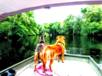 1762630092724.png 1762630092724.png