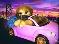 IMG_1007.jpeg IMG_1007.jpeg