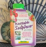 IMG_1412.jpeg IMG_1412.jpeg