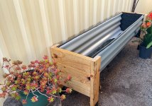 IMG_1416.jpeg IMG_1416.jpeg