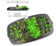 IMG_1115.jpeg IMG_1115.jpeg