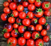 IMG_1123.jpeg IMG_1123.jpeg