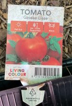 IMG_1455.jpeg IMG_1455.jpeg