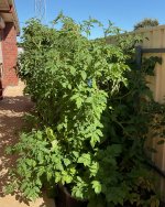 IMG_1456.jpeg IMG_1456.jpeg