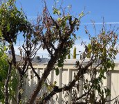 IMG_1451.jpeg IMG_1451.jpeg