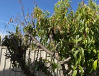 IMG_1459.jpeg IMG_1459.jpeg