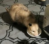 IMG_1137.jpeg IMG_1137.jpeg