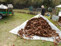 1765560544244.png 1765560544244.png