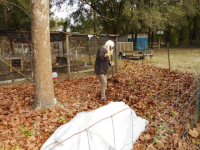 1765560611922.png 1765560611922.png