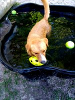 IMG_20250515_170449239_HDR.jpg IMG_20250515_170449239_HDR.jpg