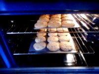 DSCN2586.JPG DSCN2586.JPG