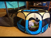 IMG_1468.png IMG_1468.png