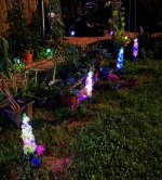 IMG_1733.jpeg