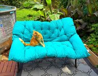 IMG_1749.jpeg