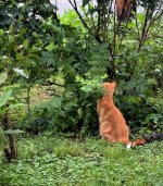 IMG_1776.jpeg