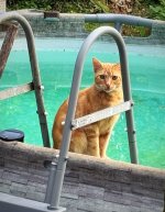 IMG_1754.jpeg