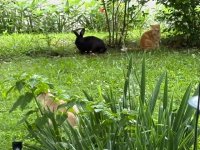 IMG_0353.jpeg