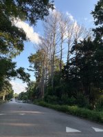 IMG_0369.jpeg