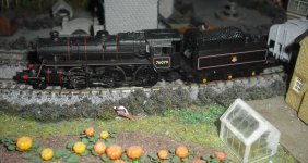 76079.jpg