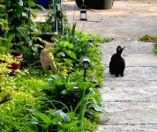 IMG_1825.jpeg