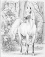 IMG_1883.jpeg IMG_1883.jpeg