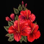 IMG_1944.jpeg