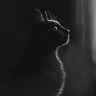 Stoic