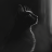 Stoic